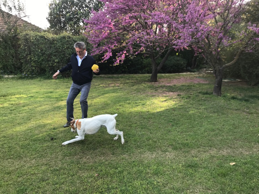 Alan (The Boss ), 57, Antalya, Turkey