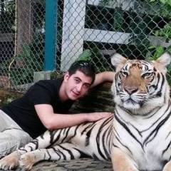 tolgahan, 35, Istanbul, Turkey