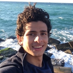 Amr, 30, Alexandria, Egypt