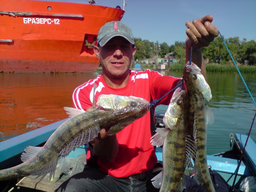 Анатолий, 55, Vidnoye, Russian Federation