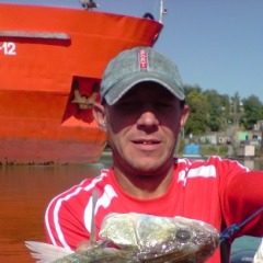 Анатолий, 55, Vidnoye, Russian Federation