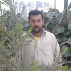 Kousar Babar, 46, Sharjah, United Arab Emirates