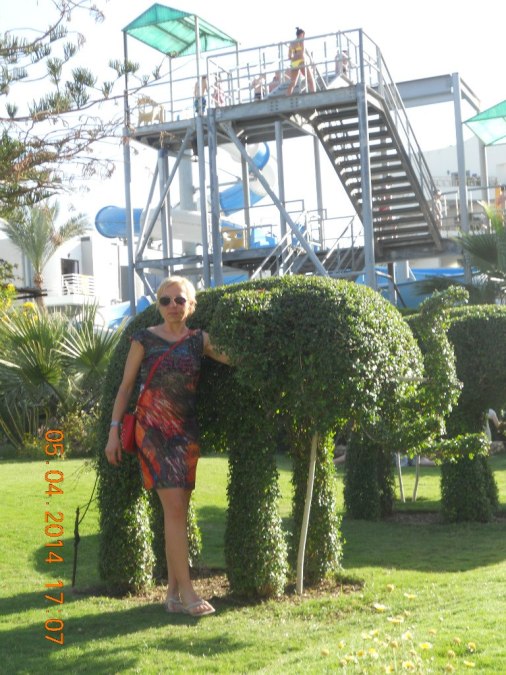 Elena, 48, Kaliningrad, Russian Federation