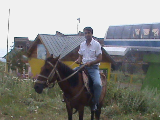 yashar, 50, Tabriz, Iran