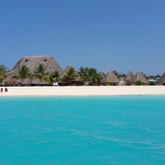 Sam, 50, New York, United States