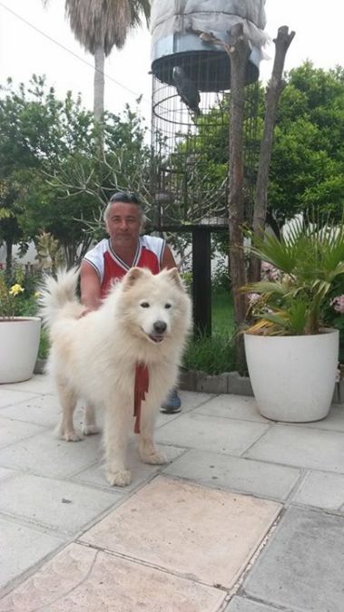 Ugur Baktemen, 54, Bursa, Turkey