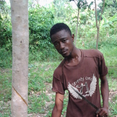 Dabla Deux Giga, 37, Abidjan, Cote D'Ivoire