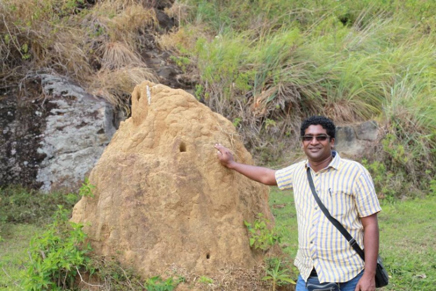 Buddi, 46, Negombo, Sri Lanka