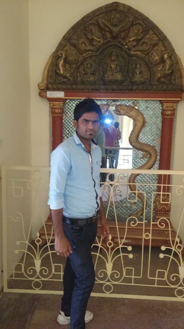 Vijendra Airindia, 35, Jaipur, India