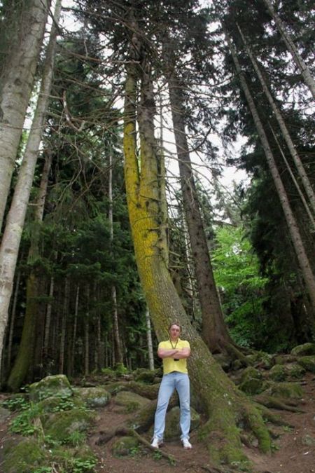 Anton, 45, Phnumpenh, Cambodia