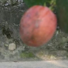 India, 35, Melbourne, Australia