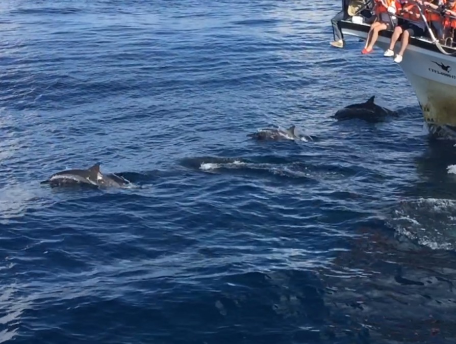 Yuting Lin, 44, Taipeihsien, Taiwan