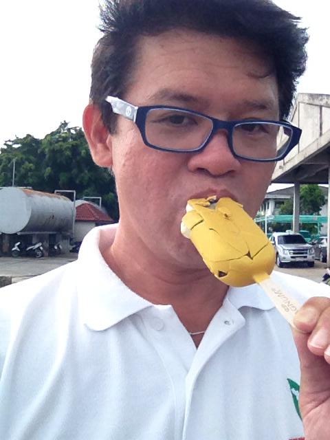 roybkk, 56, Bangkok Yai, Thailand