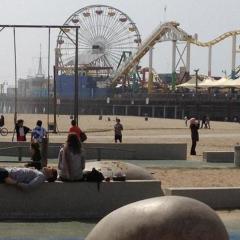 brandon, 38, Kansas City, United States