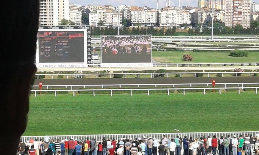 Koray Ucar, 45, Istanbul, Turkey