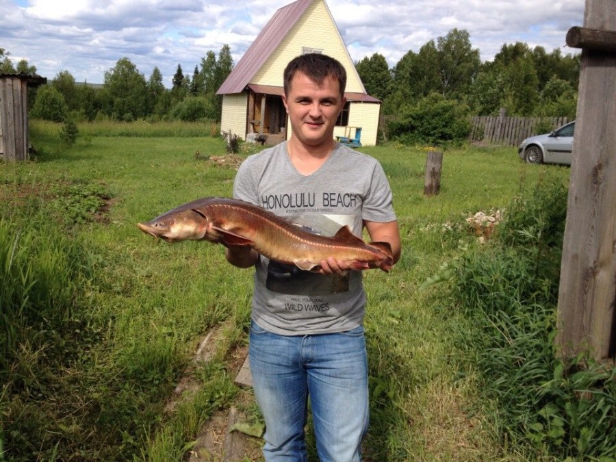 Maks, 38, Kirov, Russian Federation