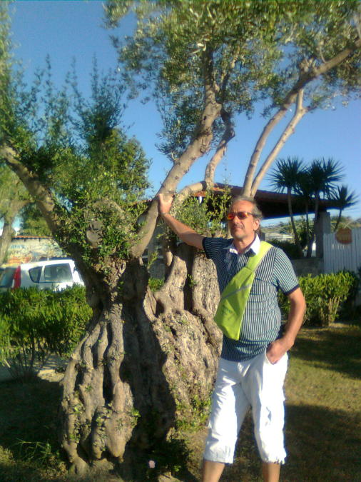 Slobodan Majstorac, 61, 