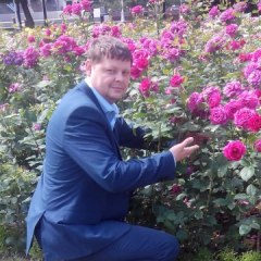 Николай Пархоменко, 42, Barnaul, Russian Federation