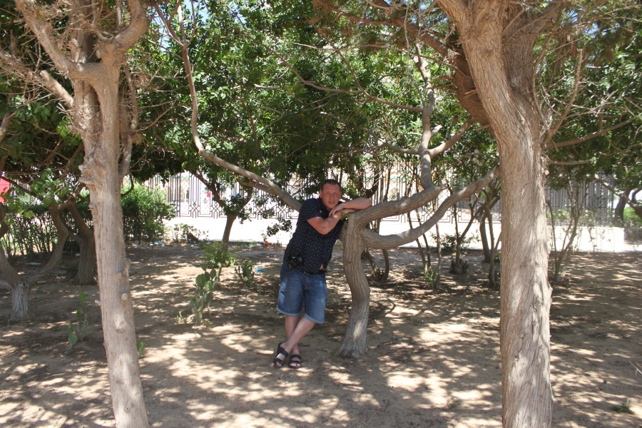 Nikolay, 43, Moscow, Russian Federation