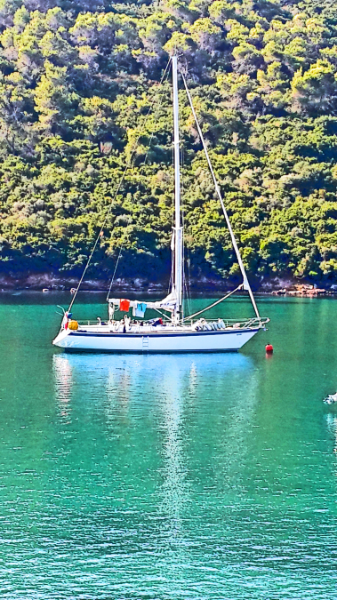 Nusret, 51, Istanbul, Turkey