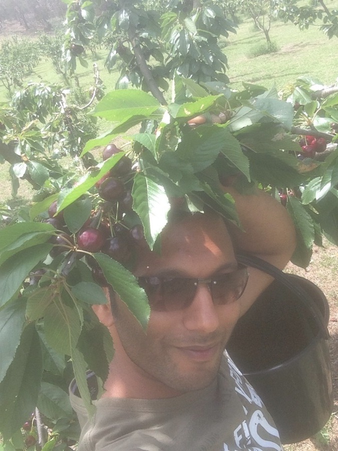 Ramees , 41, Sydney, Australia