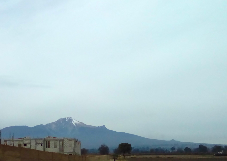 Marco Salgado, 41, Mexico City, Mexico