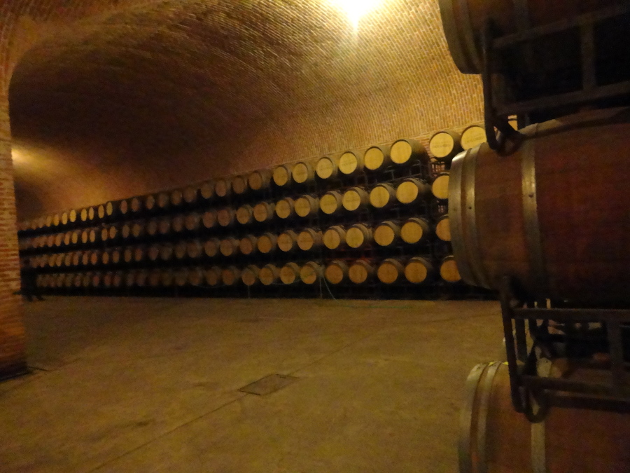 Marco Salgado, 41, Mexico City, Mexico