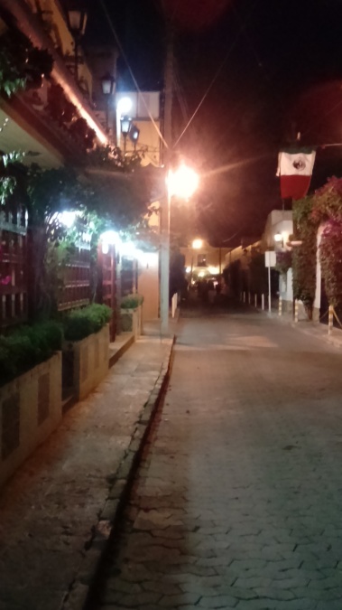 Marco Salgado, 41, Mexico City, Mexico