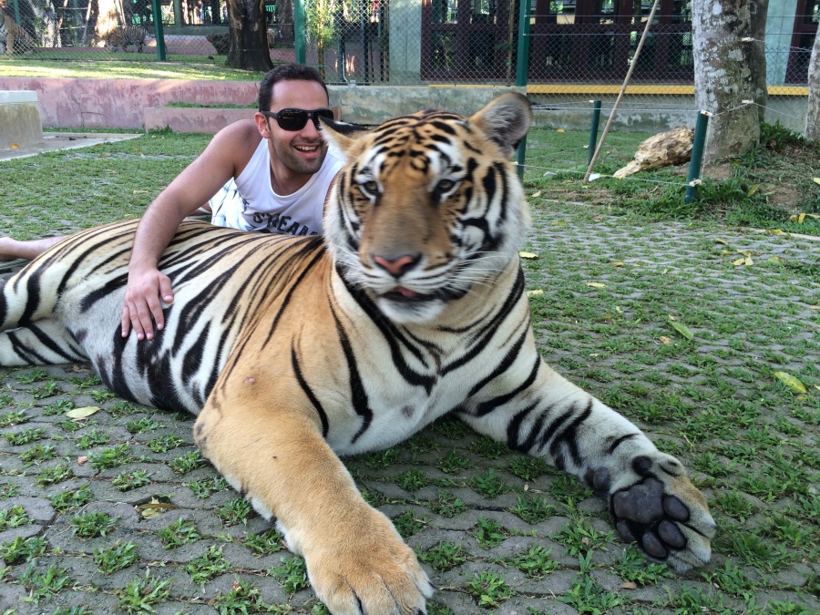 Ahmad, 39, Dubai, United Arab Emirates