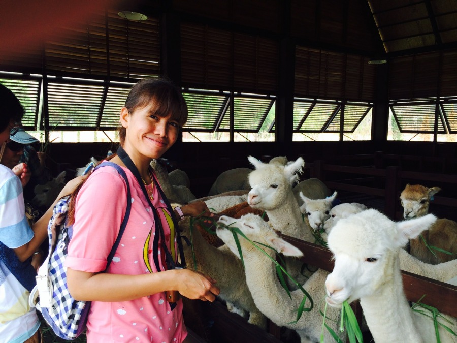 Maew, 48, Nakhon Ratchasima, Thailand