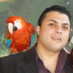 Mohamed Barakt, 42, Cairo, Egypt