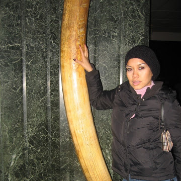 katie, 40, Califon, United States