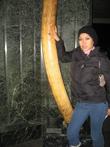 katie, 40, Califon, United States