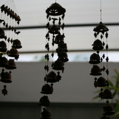 Raj, 48, Chennai, India