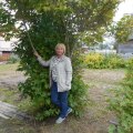 Елена, 66, Arkhangelsk, Russian Federation