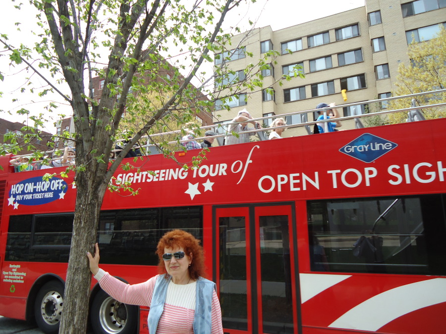 Альбина, 71, Bishkek, Kyrgyzstan