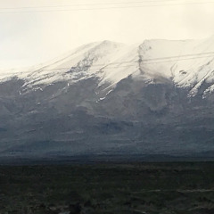 Vedat, 53, Ankara, Turkey