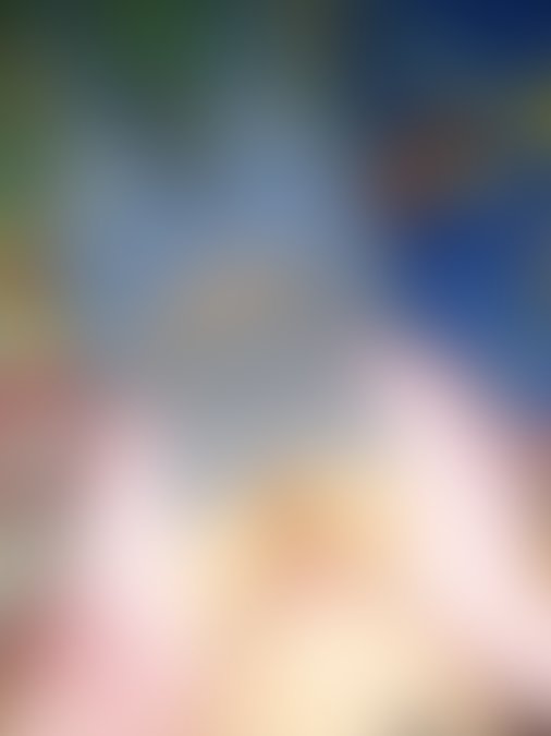 Sandra Perez, 36, Merida, Venezuela