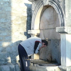 nenad, 61, Podgorica, Montenegro