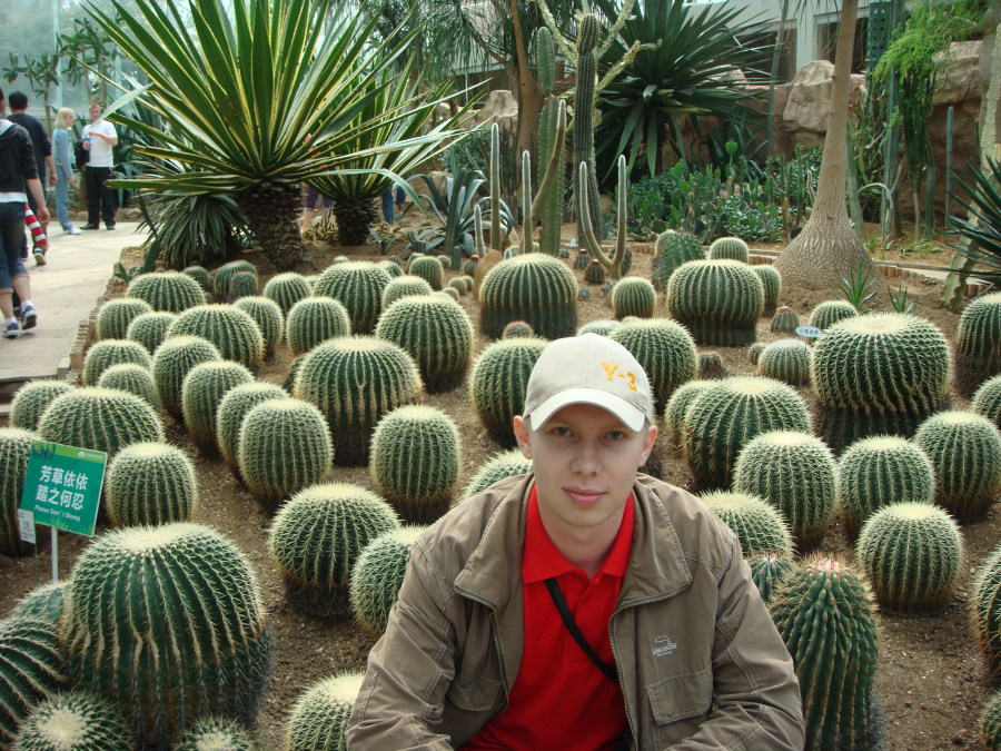 Dmitry, 39, Vladivostok, Russian Federation