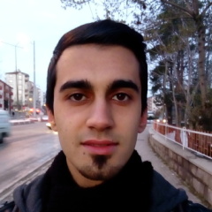 emre, 31, Turkey, United States