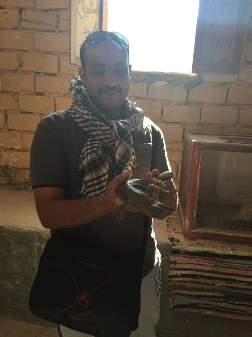 Marwan Elsayed, 45, Hurghada, Egypt