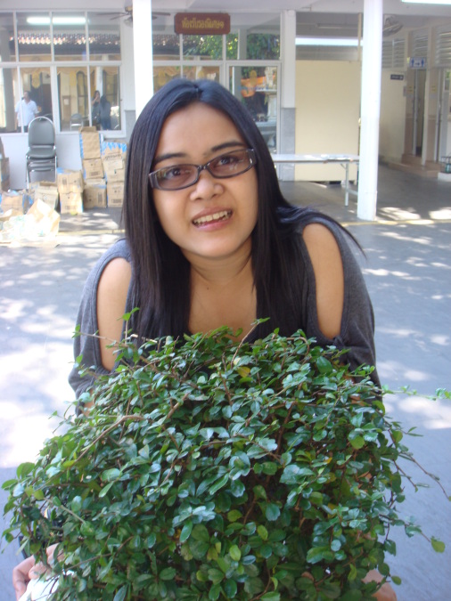 ถ้าเธอเลิกกับเขา มารักฉันได้ใหม, 44, Bangkok, Thailand