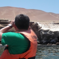 Cesar lima, 39, Lima, Peru