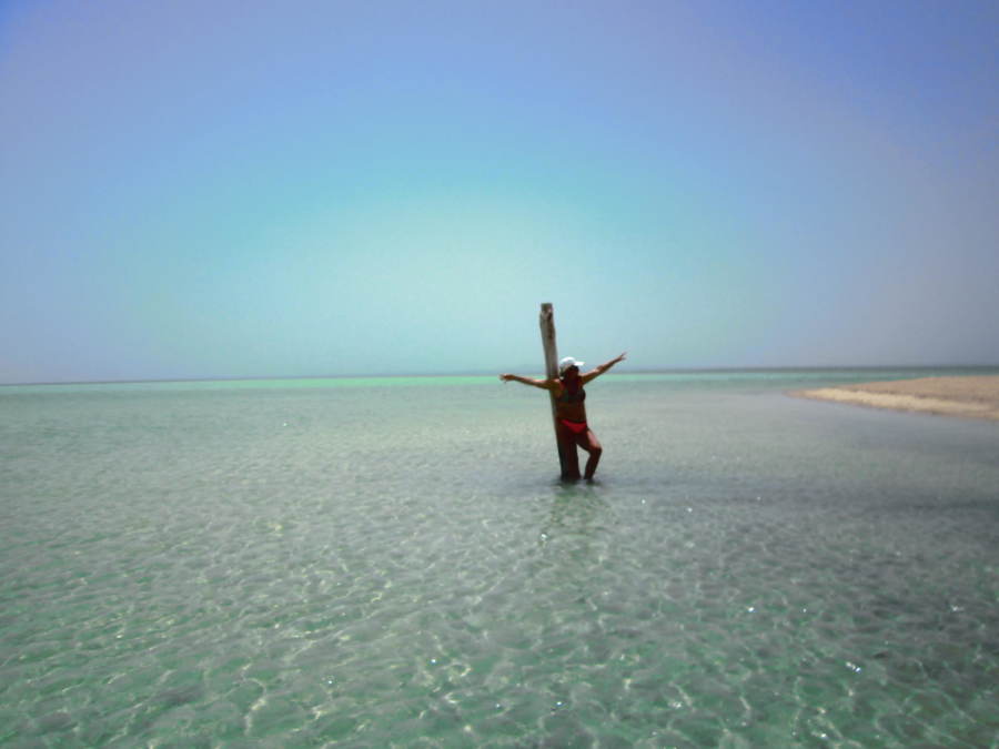 Ольга, 52, Omsk, Russian Federation