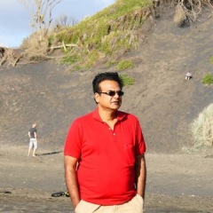 rajeshwar reddy, 57, Auckland, New Zealand