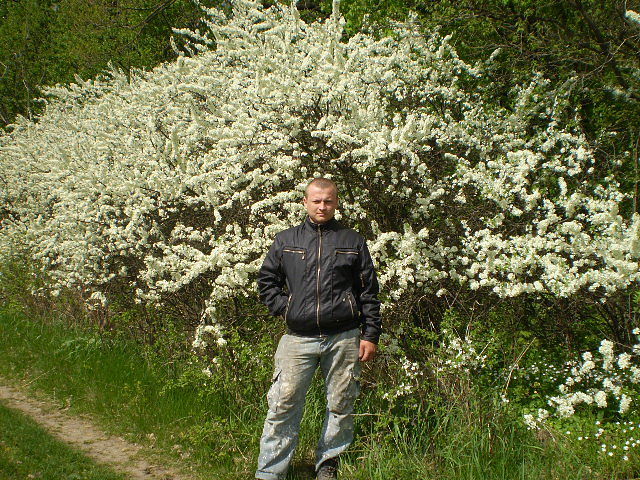 Виталий Коротких, , Berdychiv, Ukraine