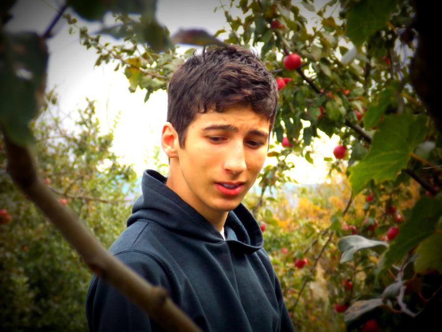 cotne lolashvili, 29, Tbilisi, Georgia