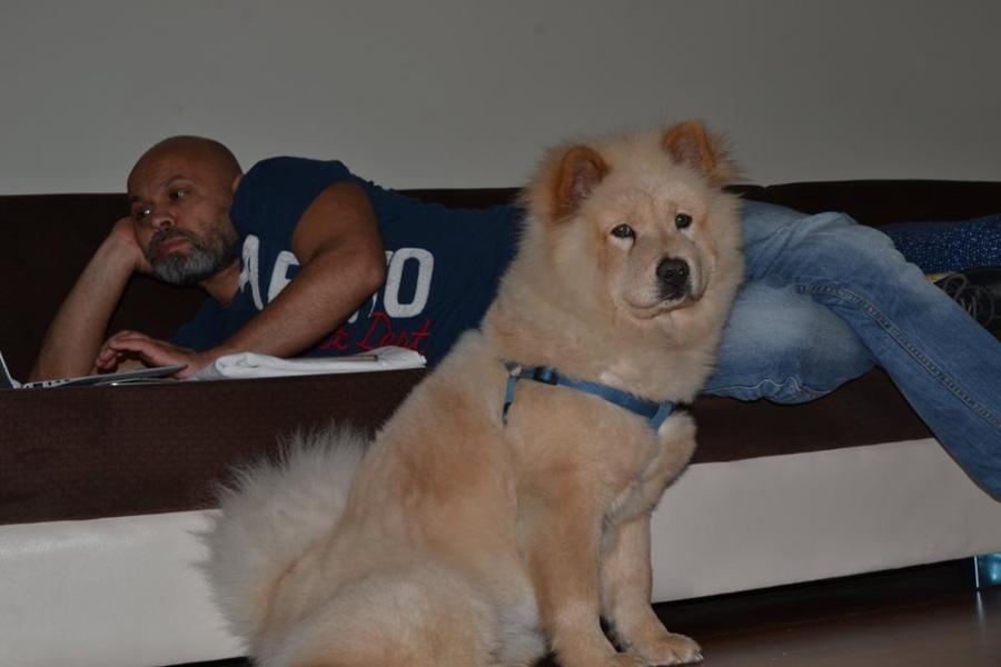 mehmet, 54, Istanbul, Turkey