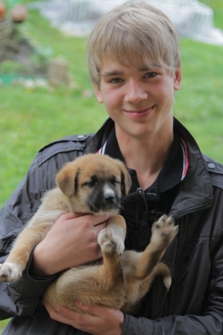 Vadim, 29, Lviv, Ukraine